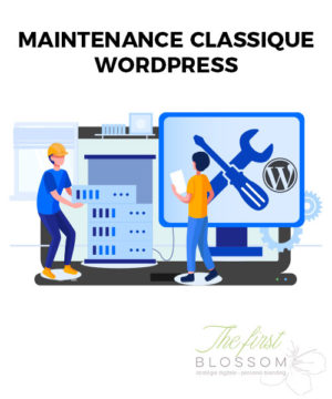 Maintenance WordPress Classique 1 an