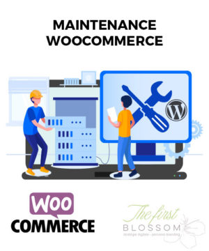 Maintenance Woocommerce 1 an