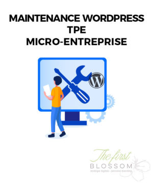 Maintenance Wordpress 1 an Entreprise Individuelle